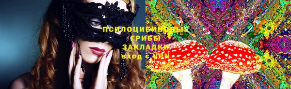 дживик Арсеньев