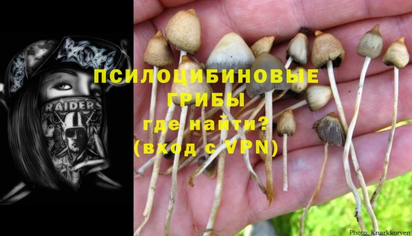 дживик Арсеньев